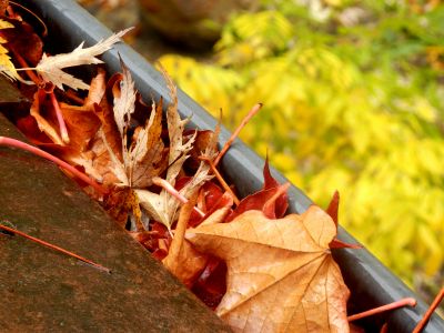Gutter Service in Fall